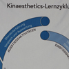 Kinaesthetics-Lernzyklus auf Stoff Bild anzeigen
